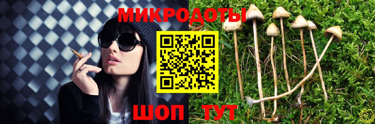 Новочебоксарск  Псилоцибиновые грибы Psilocybine cubensis  Вход с VPN 