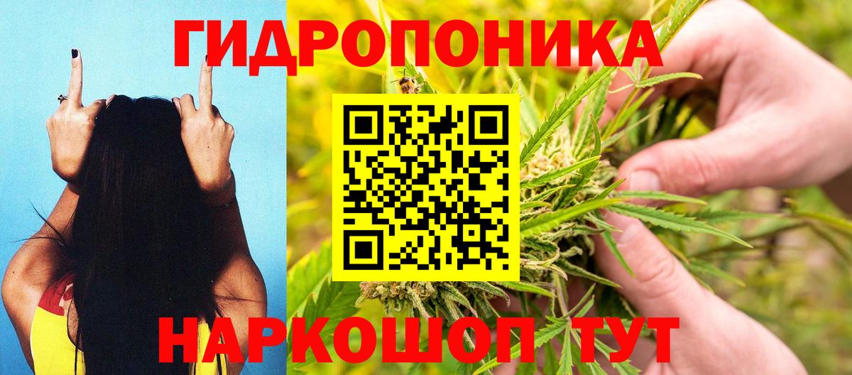 Бошки марихуана планчик Новочебоксарск